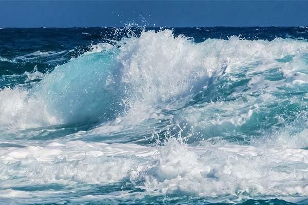 Seyri Şifa Balgami Mizaç Hastalıkları