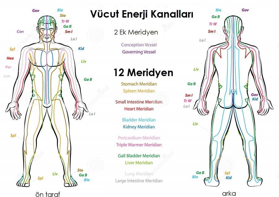 Seyri Şifa Hacamat ve meridyen noktaları