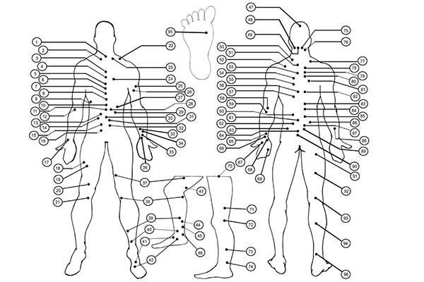 Seyri Şifa Hacamatla İlgili Detay Bilgiler