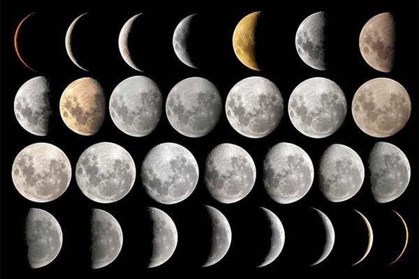 Seyri Şifa İslam Dininde Hacamatın Yeri ve Önemi