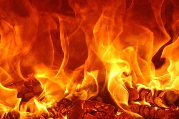 Seyri Şifa Safravi Mizaç Hastalıkları